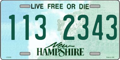 NH license plate 1132343