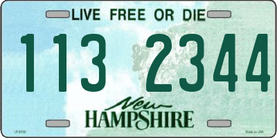 NH license plate 1132344