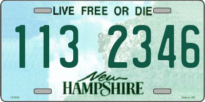 NH license plate 1132346