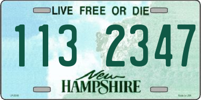 NH license plate 1132347