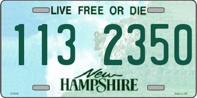 NH license plate 1132350