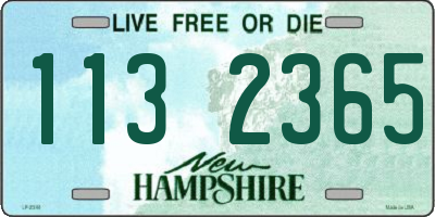 NH license plate 1132365