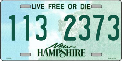 NH license plate 1132373