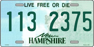 NH license plate 1132375