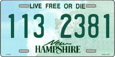 NH license plate 1132381