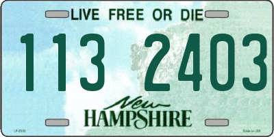 NH license plate 1132403