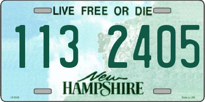 NH license plate 1132405