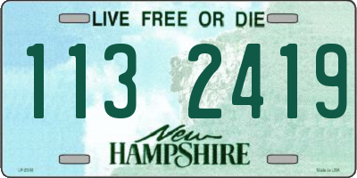 NH license plate 1132419