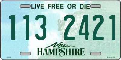 NH license plate 1132421