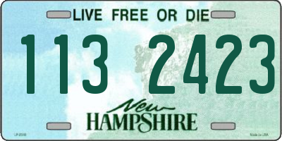 NH license plate 1132423