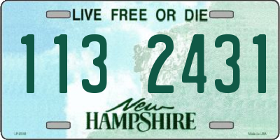 NH license plate 1132431