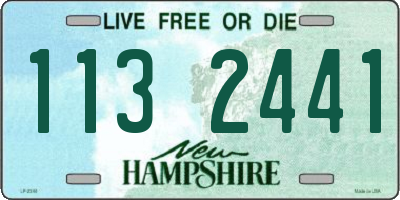 NH license plate 1132441