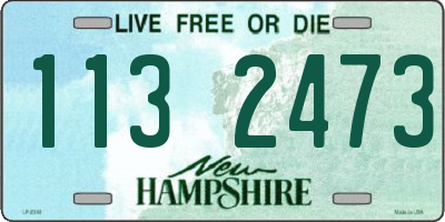 NH license plate 1132473