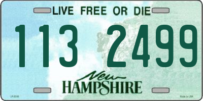 NH license plate 1132499