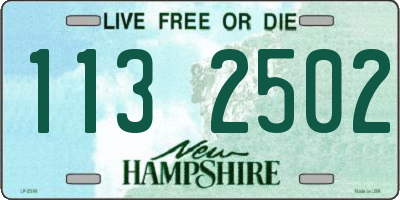 NH license plate 1132502