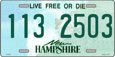 NH license plate 1132503