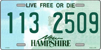 NH license plate 1132509