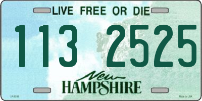 NH license plate 1132525