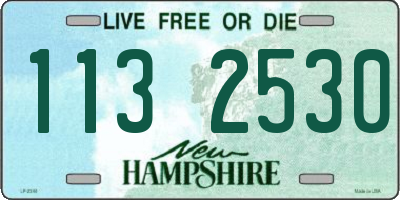 NH license plate 1132530