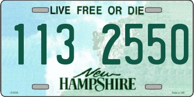 NH license plate 1132550