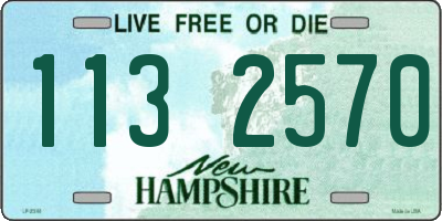 NH license plate 1132570