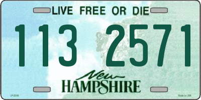 NH license plate 1132571