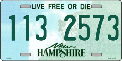 NH license plate 1132573