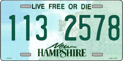 NH license plate 1132578