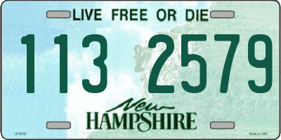 NH license plate 1132579