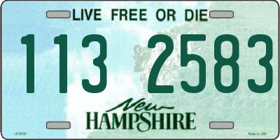 NH license plate 1132583