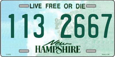 NH license plate 1132667