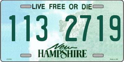NH license plate 1132719
