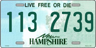 NH license plate 1132739