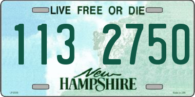 NH license plate 1132750