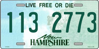 NH license plate 1132773