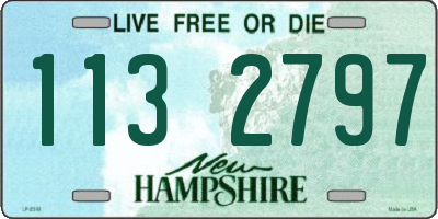 NH license plate 1132797