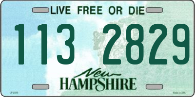 NH license plate 1132829