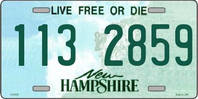 NH license plate 1132859