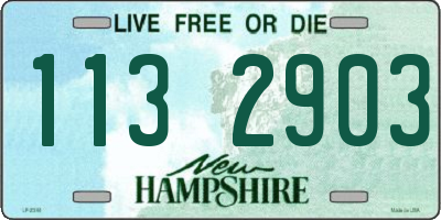NH license plate 1132903