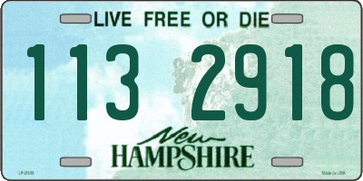 NH license plate 1132918