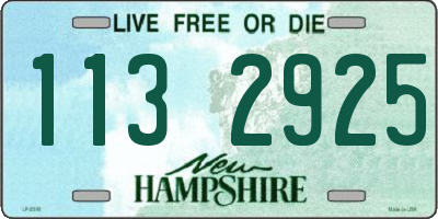 NH license plate 1132925