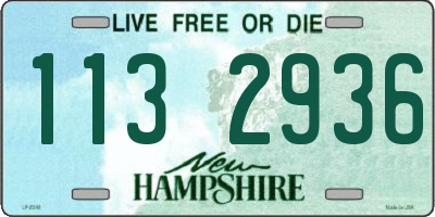 NH license plate 1132936