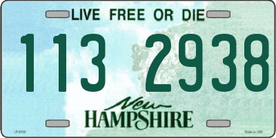 NH license plate 1132938