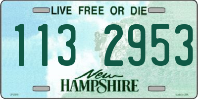NH license plate 1132953