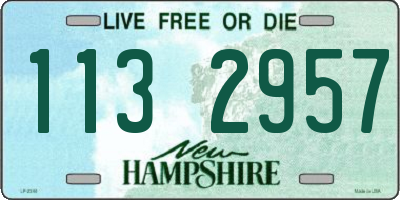 NH license plate 1132957