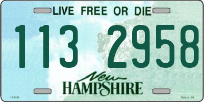 NH license plate 1132958