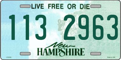 NH license plate 1132963