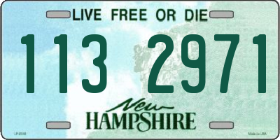 NH license plate 1132971