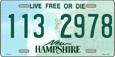 NH license plate 1132978
