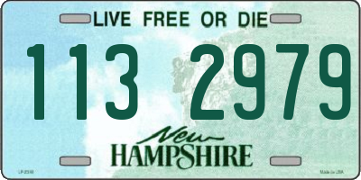 NH license plate 1132979